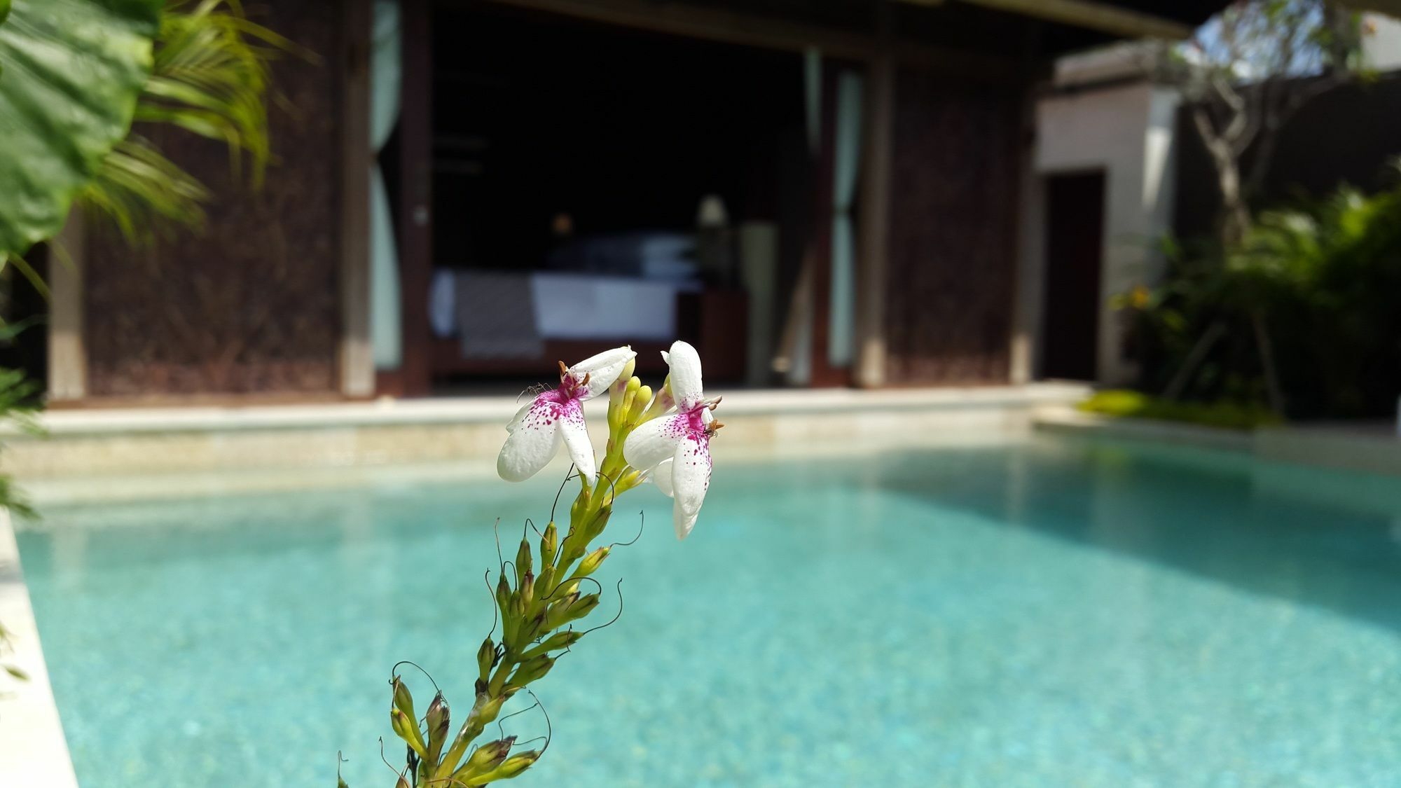 Sri Abi Ratu Villas Sukawati Exterior foto